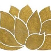 lotus flower gold